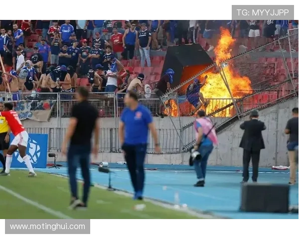 绿茵场下的暗流:足球流氓现象的深度剖析与反思